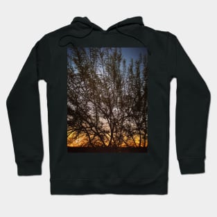 Sunset Silhouette Hoodie